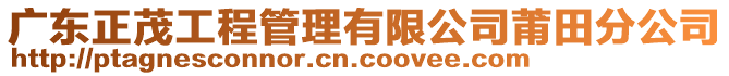 廣東正茂工程管理有限公司莆田分公司