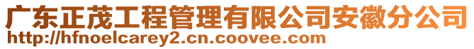 廣東正茂工程管理有限公司安徽分公司