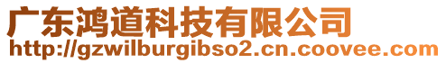 廣東鴻道科技有限公司