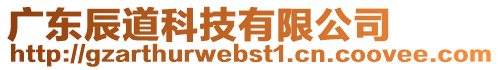 廣東辰道科技有限公司