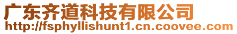 廣東齊道科技有限公司