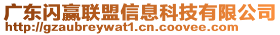 廣東閃贏聯(lián)盟信息科技有限公司