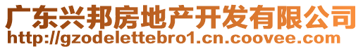 廣東興邦房地產(chǎn)開發(fā)有限公司