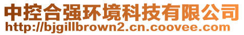 中控合強環境科技有限公司