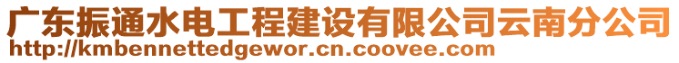 廣東振通水電工程建設(shè)有限公司云南分公司