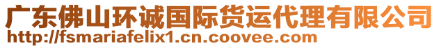 廣東佛山環(huán)誠(chéng)國(guó)際貨運(yùn)代理有限公司