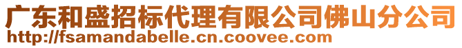 廣東和盛招標代理有限公司佛山分公司