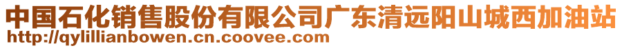 中國石化銷售股份有限公司廣東清遠陽山城西加油站