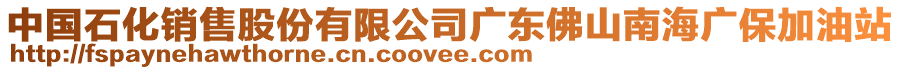 中國石化銷售股份有限公司廣東佛山南海廣保加油站