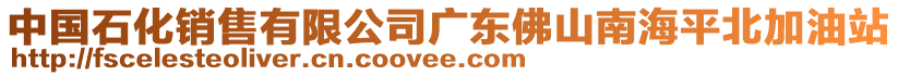 中國石化銷售有限公司廣東佛山南海平北加油站