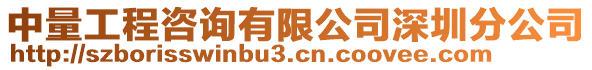 中量工程咨詢有限公司深圳分公司