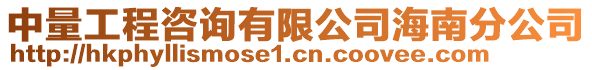 中量工程咨詢有限公司海南分公司