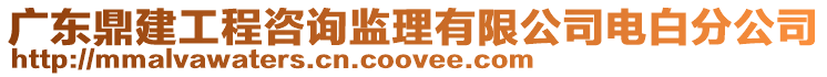 廣東鼎建工程咨詢監理有限公司電白分公司