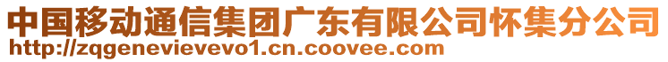 中國移動通信集團廣東有限公司懷集分公司