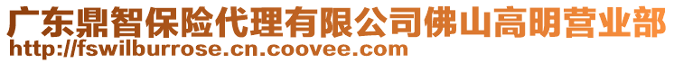 廣東鼎智保險代理有限公司佛山高明營業(yè)部