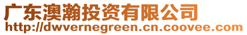 廣東澳瀚投資有限公司