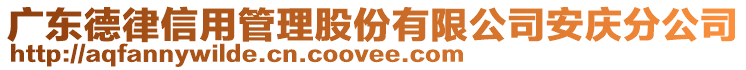 广东德律信用管理股份有限公司安庆分公司