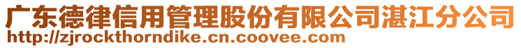 广东德律信用管理股份有限公司湛江分公司