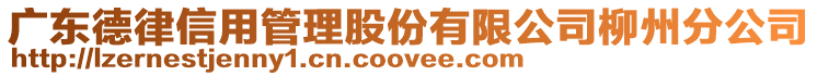 廣東德律信用管理股份有限公司柳州分公司