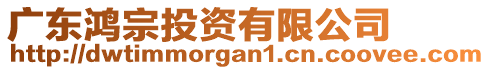 廣東鴻宗投資有限公司