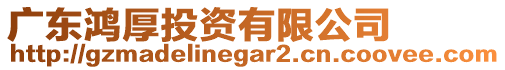 廣東鴻厚投資有限公司