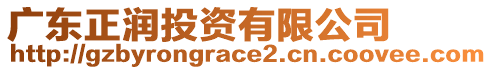 廣東正潤投資有限公司