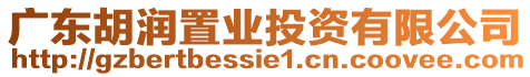 廣東胡潤置業(yè)投資有限公司