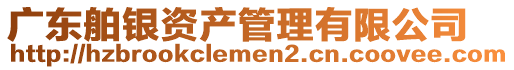 廣東舶銀資產(chǎn)管理有限公司