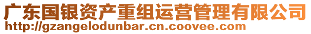 廣東國銀資產重組運營管理有限公司