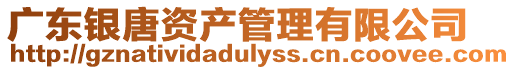 廣東銀唐資產(chǎn)管理有限公司