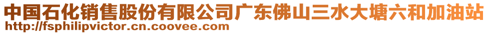 中國(guó)石化銷售股份有限公司廣東佛山三水大塘六和加油站