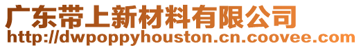 廣東帶上新材料有限公司