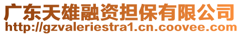 廣東天雄融資擔保有限公司