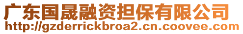 廣東國晟融資擔(dān)保有限公司