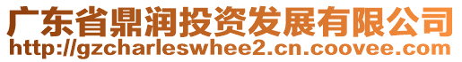 廣東省鼎潤(rùn)投資發(fā)展有限公司