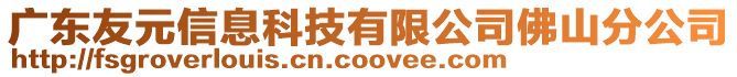 廣東友元信息科技有限公司佛山分公司