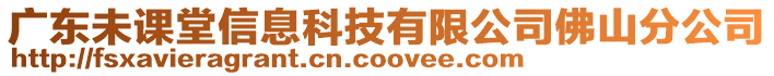 廣東未課堂信息科技有限公司佛山分公司