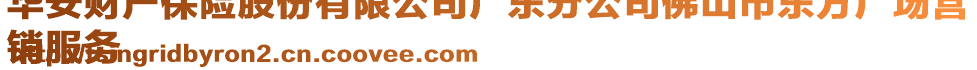 華安財產(chǎn)保險股份有限公司廣東分公司佛山市東方廣場營
銷服務(wù)