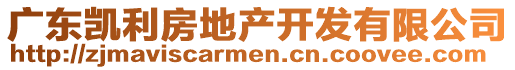 廣東凱利房地產(chǎn)開發(fā)有限公司