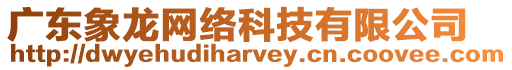 廣東象龍網絡科技有限公司