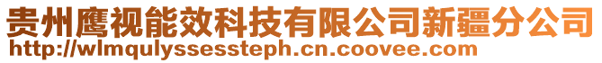 貴州鷹視能效科技有限公司新疆分公司