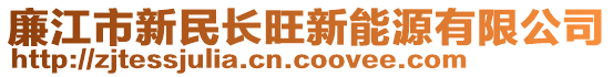 廉江市新民長旺新能源有限公司