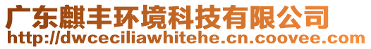 廣東麒豐環境科技有限公司