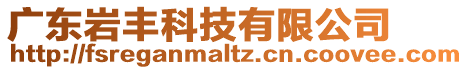 廣東巖豐科技有限公司