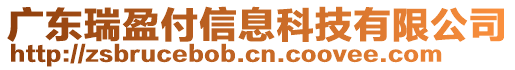 廣東瑞盈付信息科技有限公司