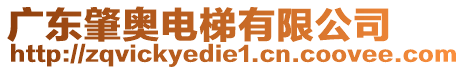 廣東肇奧電梯有限公司