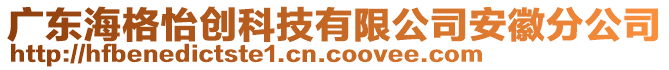 廣東海格怡創(chuàng)科技有限公司安徽分公司