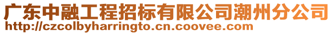 廣東中融工程招標(biāo)有限公司潮州分公司