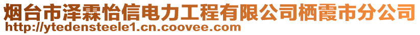 煙臺市澤霖怡信電力工程有限公司棲霞市分公司