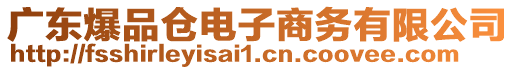 廣東爆品倉電子商務有限公司